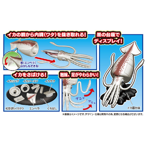 メガハウス 一杯買い!!イカ解体パズル ｶｲﾀｲﾊﾟｽﾞﾙｲｶ-イメージ2