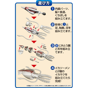 メガハウス 一杯買い!!イカ解体パズル ｶｲﾀｲﾊﾟｽﾞﾙｲｶ-イメージ3