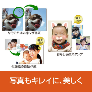 ソースネクスト 筆王Ver．31 WEBﾌﾃﾞｵｳﾊﾞ-ｼﾞﾖﾝ31WD-イメージ4