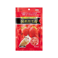 スドー フルーツ王国 プレミアム 採れたて苺 46g FCE997Y