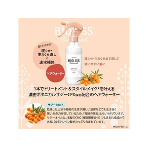 コーセーコスメポート ビオリス リフレッシュ&モイスト ヘアウォーター 詰替 230mL FC850SY-イメージ3