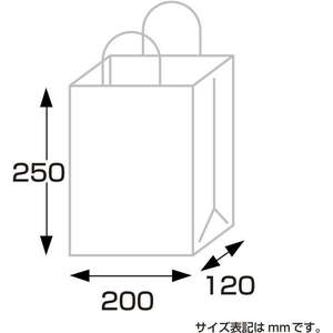 タカ印 手提げ袋 レースィ 200×120×250mm 25枚 FCE156Z-50-5412-イメージ7