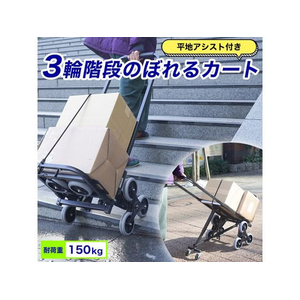 THANKO 平地アシスト付き3輪階段のぼれるカート FC163SX-WHETRLSBK-イメージ2