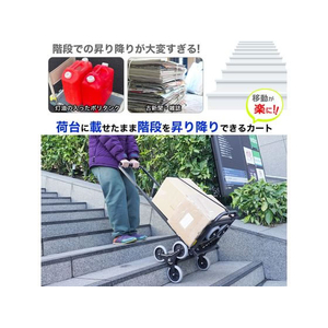 THANKO 平地アシスト付き3輪階段のぼれるカート FC163SX-WHETRLSBK-イメージ3