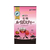 アバンス 国太楼/ポット用 RA有機ルイボスティー ティーバッグ 34P FC183RE-52170-イメージ1