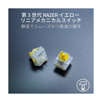 RAZER RZ03-04703600-R3M1 ゲーミングキーボード BlackWidow V4 X