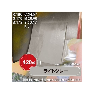 カンペハピオ 油性シリコンラッカースプレー ライトグレー 420ml FCB079N-イメージ3