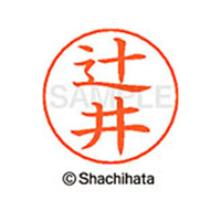 シヤチハタ ネームペン用ネーム シルバー 既製 辻井 FC47232-X-GPS-1461