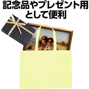 アーテック カラー不織布バッグ 薄黄 FCE105N-11424-イメージ5