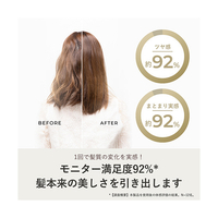 ヤーマン スムースアイロンフォトイオン ヴェール髪セット II YJHB0N5 ヤーマン YJHB0N5 スムースアイロン フォトイオン ヴェール髪