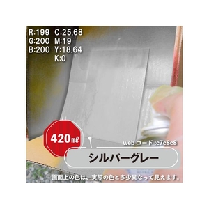 カンペハピオ 油性シリコンラッカースプレー シルバーグレー 420ml FCB081N-イメージ3