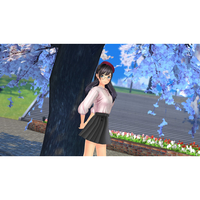 ドラガミゲームス NXSPBQ2ZA LoveR Kiss Endless Memories【Switch 2