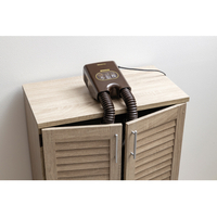 アイリスオーヤマ KSD-C2-T 脱臭くつ乾燥機 カラリエ ブラウン