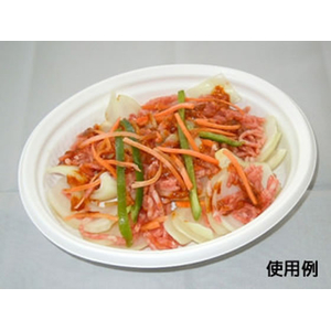 中央化学 カレー容器 SD ビストロ M20-16 W 身 50枚 FCG887W-00453233-イメージ3