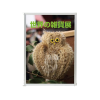 友屋 ハメパネ シルバー 53721 B3S FC486LK-3857730