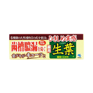 小林製薬 ひきしめ生葉 100g F824180-イメージ1