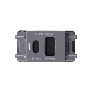 ヤザワ 埋込USBコンセントPD36W グレｰ H4USB20PD36GY-イメージ2