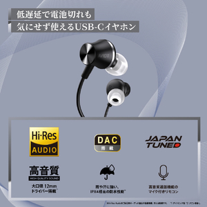 AVIOT AVIOT有線イヤホン Black CE-G1-BK-イメージ7