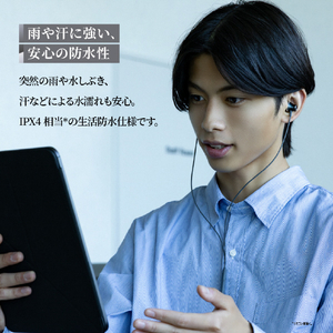 AVIOT AVIOT有線イヤホン Black CE-G1-BK-イメージ9