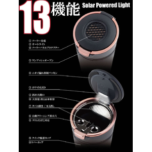 星光産業 ソーラーラバーアッシュ CP FCJ856T-ED254-イメージ3