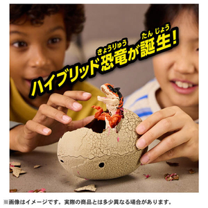 タカラトミー モンスターラボ ハイブリッド ダイナソーエッグ ｱﾆｱﾓﾝｽﾀ-ﾗﾎﾞﾀﾞｲﾅｿ-ｴﾂｸﾞ-イメージ5