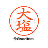 シヤチハタ ネームペン用ネーム シルバー 既製 大塩 FC46252-X-GPS-0481