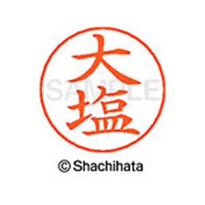 シヤチハタ ネームペン用ネーム シルバー 既製 大塩 FC46252-X-GPS-0481-イメージ1