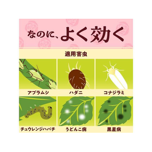 アース製薬 Balife バラの虫・病気 退治&予防 1000mL FC820TH-イメージ5