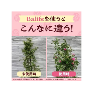アース製薬 Balife バラの虫・病気 退治&予防 1000mL FC820TH-イメージ6