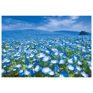 太陽出品 太陽光パネル