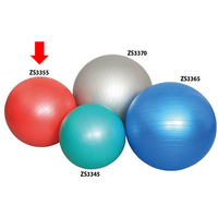 ゼット バランスボール 55 FCG721Y-ZS3355