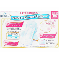 ソフィハダオモイ20パック‼️ これ以上値下げは出来ませんm(__)m ソフィハダオモイ20パック‼️ これ以上値下げは出来ませんm(__)m
