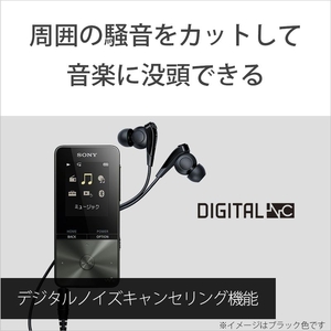 SONY デジタルオーディオプレイヤー(4GB) ウォークマンSシリーズ ブラック NW-S313 B-イメージ3