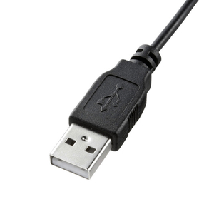 サンワサプライ USBキーボード ブラック SKB-L1UBKN-イメージ10