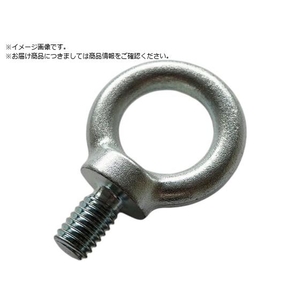 ＴＡＩＹＯ アイボルト 電気 M-10 1220019 1220019 FC723UF-1784795-イメージ1