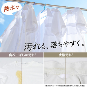 サンコー 2．8kg温水/熱水洗濯機 ニオイウォッシュ MHTWSHSWH-イメージ5