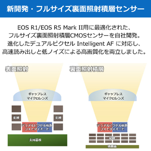 キヤノン デジタル一眼カメラ・ボディ EOS R5 Mark II EOSR5MK2-イメージ8