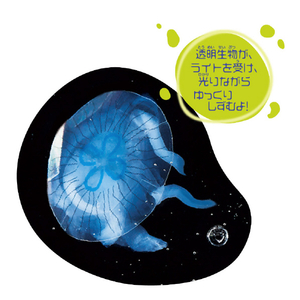 クツワ 神秘の透明生物 ｼﾝﾋﾟﾉﾄｳﾒｲｾｲﾌﾞﾂ-イメージ3