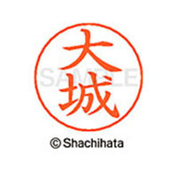 シヤチハタ ネームペン用ネーム シルバー 既製 大城 FC46257-X-GPS-0486