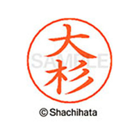シヤチハタ ネームペン用ネーム シルバー 既製 大杉 FC46258-X-GPS-0487
