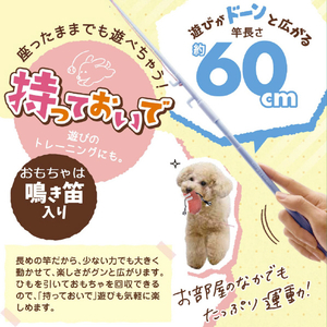 ドギーマンハヤシ じゃれワンワン! ふわふわブｰツ ｼﾞﾔﾚﾜﾝﾜﾝﾌﾜﾌﾜﾌﾞ-ﾂ-イメージ4