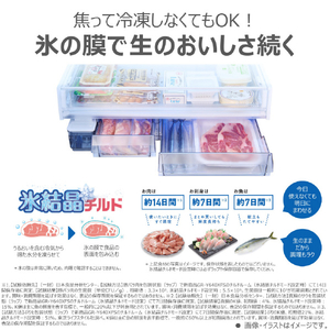 東芝 543L 6ドア冷蔵庫 VEGETA フロストホワイト GR-Y540XFS(TW)-イメージ12