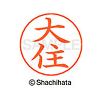 シヤチハタ ネームペン用ネーム シルバー 既製 大住 FC46260-X-GPS-0489
