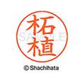 シヤチハタ ネームペン用ネーム シルバー 既製 柘植 FC47246-X-GPS-1475