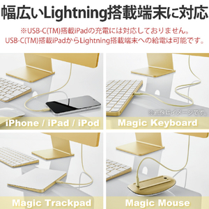 エレコム USB-C(TM) to Lightningケーブル(スタンダード)(1．0m) イエロー U2C-APCL10YL-イメージ5