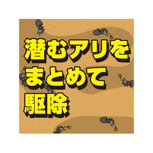 アース製薬 アースガーデン アリ撃滅 シャワータイプ 1000mL FC822TH-イメージ3
