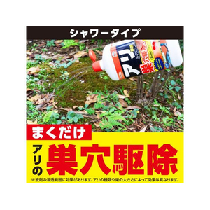 アース製薬 アースガーデン アリ撃滅 シャワータイプ 1000mL FC822TH-イメージ4