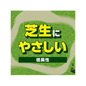 アース製薬 アースガーデン アリ撃滅 シャワータイプ 1000mL FC822TH-イメージ6