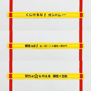 ゼット スーパーラダー FCG730Y-ZS4001-イメージ2