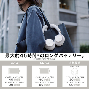 パナソニック ワイヤレスステレオヘッドホン Technics ブラック EAH-A1000-K-イメージ18